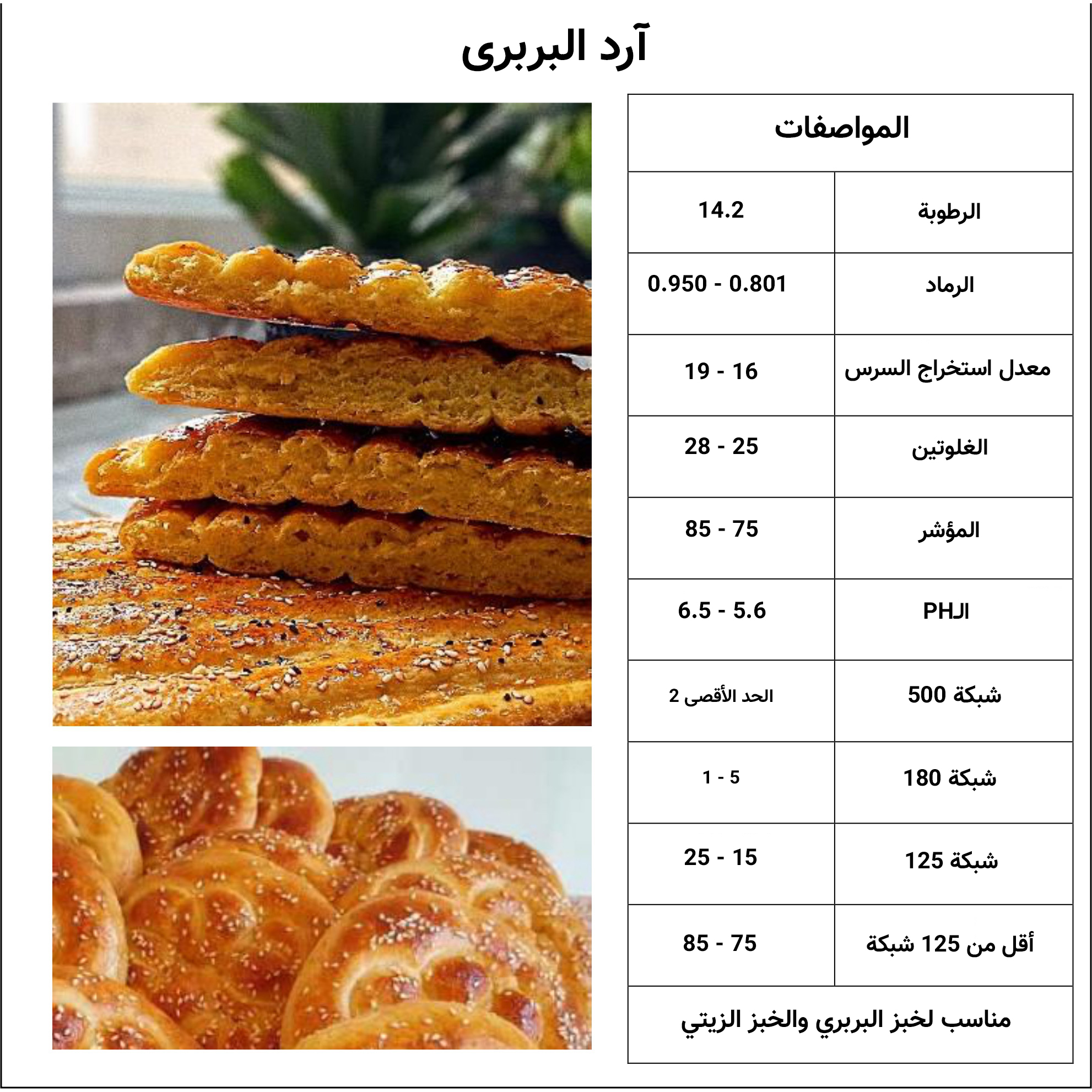 آرد بربری عربی